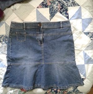 Ann Taylor Loft Jean Skirt